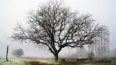 2012年11月日历风光桌面高清壁纸桌面壁纸4