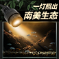 鱼缸灯变焦灯南美造景原生缸雷龙专用射灯小型灯水草灯led照明灯-tmall.com天猫