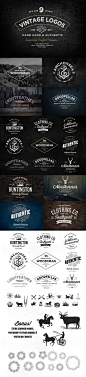 Vintage Logo Bundle Vol.1 by Nicky Laatz, via Behance