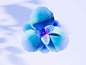 Blue Flower 3d visualization  / Houdini