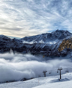 星空下的小小星辰采集到瑞士风景 雪绒花