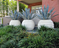 Agave Groove Pots! Follow Fernwood for other fun ideas like this one!: 