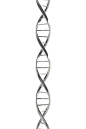 花瓣素材_DNA，医学科学，3D插图_120105604