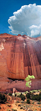 The ancient White House ruins at Canyon De Chelly, AZ