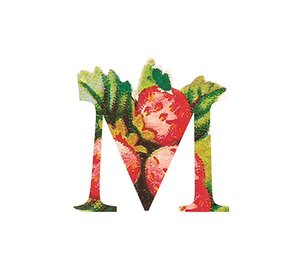 字母M #字体设计#