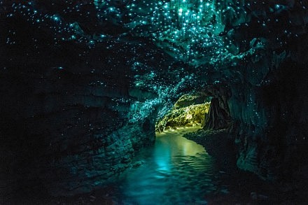怀托摩萤火虫洞，位于新西兰北岛的怀卡托区...