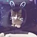 阳光夏12