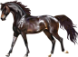 horses.png : Фото, автор YakimenkoInna1970 на Яндекс.Фотках