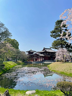 山川旅游设计工作室采集到日本