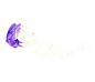 复件 (1) 蝴蝶8