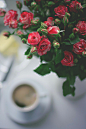Tumblr