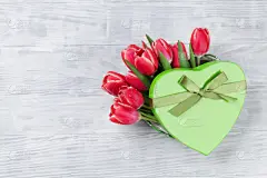 郁金香,红色,包装纸,心型,贺卡,情人节卡,婚礼,春天,背景,盒子
