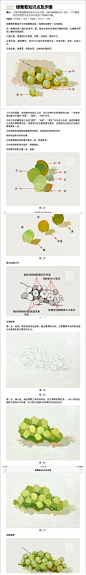 局部色彩单个物体塑造教程，全面、实用 ​ ​​​​