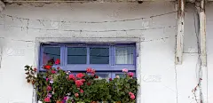 旧土屋花窗