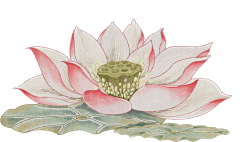 熬夜党采集到绘画动植物