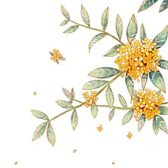 中秋元素  - 源文件下载【酷图网】中秋节素材,中秋节,中秋节文字,中秋节月饼,月饼素材,月亮,圆月,剪纸,牛郎织女,月饼包装,祥云,玉兔,嫦娥莲花,荷花,凤凰,灯笼,包装素材,设计素材,中秋节广告,