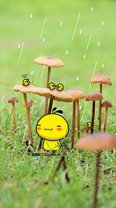 蘑菇1080x1920壁纸可爱动漫卡通油爆叽丁背景高清素材 动漫 设计图片 免费下载 页面网页 平面电商 创意素材