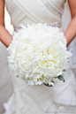 #新娘捧花# 早安花朵！纯洁白色。（图片来自网络）