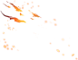 487b56050c218d6b24b11d178475ceee37aa0a9bb73b-qtx201