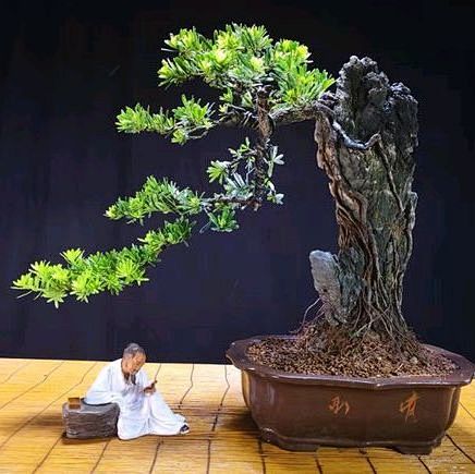 点击查看源网页