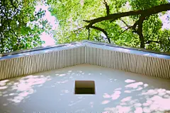 一人的光合作用

摄影：洪小漩

场地：东信和创园

冬至日，杭州的天气暖洋洋。

和陈科一道吃完午饭，我打车去了东信和创园。在车上，一边看着被阳光晒得懒洋洋的景观树，一边电话沟通手头棘手的一个维权案子。

左眼皮一直在跳，按住了也不顶用。

罢了罢了，晚些时候再说吧。

以往来这里，都是带着姑娘一起，这次一个人行走在东信合创园，逗猫、晒太阳、小憩，随意按快门，什么都不用理会。

阳光真好，走着走着都要融化了。