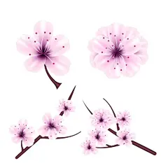花卉    - 源文件下载【酷图网】花卉,花朵,樱花,花瓣,粉色花,桃花免扣,小清新,樱花免扣,春天,桃花,梨花,樱花背景,樱花盛开,花草,浪漫,情人节,芳香,盛开,花朵卡通图片,手绘樱花,花朵背景,樱花素材,唯美素材,唯美樱花,粉色,唯美,古典花纹,手绘梅花,腊梅,红梅,梅花图片