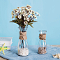 DIY创意复古麻绳玻璃花瓶摆件透明水培干花客厅装饰插花 小欧式-淘宝网