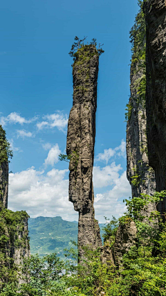 喵栗小五郎采集到湖北