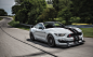 Mustang GT350R : 2016 Ford Mustang Shelby GT350R at Grattan Raceway.