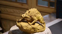 万里牵豬侠采集到猪