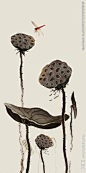 新中式国画莲蓬玄关背景墙