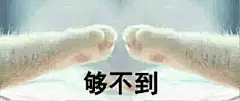 最新可爱的猫爪牵手表情包下载 签宝宝的手猫咪表情包