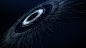 Digital Dust : Collection of infographics and HUDS