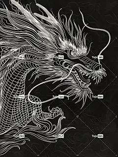 中国龙头的侧面，黑底白线绘制，呈载体插图风格。解构极简线条。