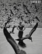 book editorial fantasy Fashion  jvdas berra magazine Magic   Nature odyssey Travel