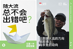 丹fei采集到c