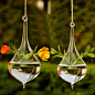 水滴型玻璃花瓶（不含植物） | Magibuy美奇#创意家居# #装饰#