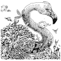 幻兽-69