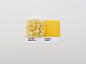 Pantone Food – Fubiz™