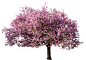 https://www.pngkit.com/png/full/4-41608_trees-png.png