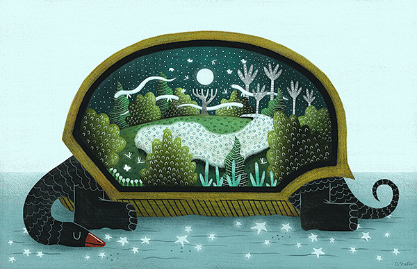 Cosmic Turtle : A Co...