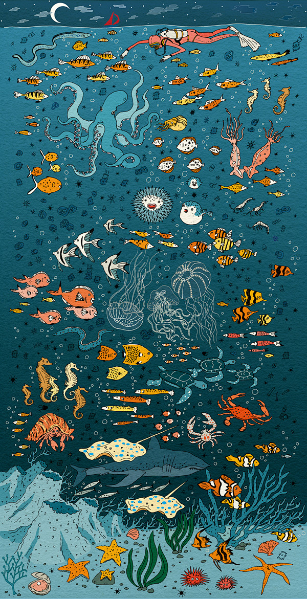 《Under the Sea》（海洋里）...