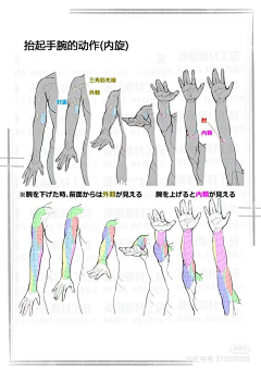 野豬乔治采集到Sx