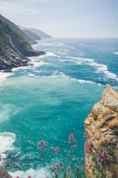 小酱油氢气球采集到美景