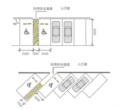 一直特立独行的猫//采集到尺寸