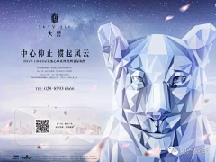 p+p采集到商业