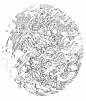 来自分享