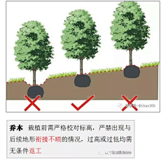 长沙隔壁老龚采集到G 工艺（种植）