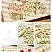 玫瑰&amp;草本植物花园刺绣
