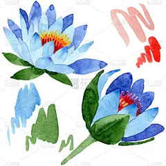 美丽的蓝色莲花在白色上被孤立。水彩背景插图。水彩画时尚孤立的莲花插画元素.